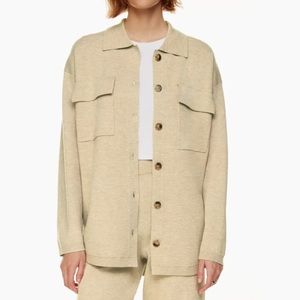 Aritizia Wilfred free Ronnie sweater in heather bone